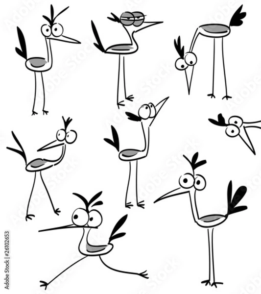 Obraz Funny birds