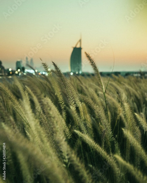 Obraz Dusk in Dubai