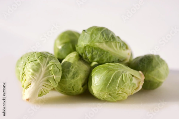 Obraz chou de bruxelles
