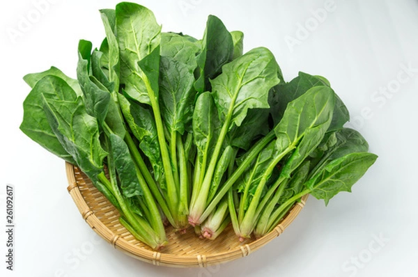 Fototapeta ホウレンソウ