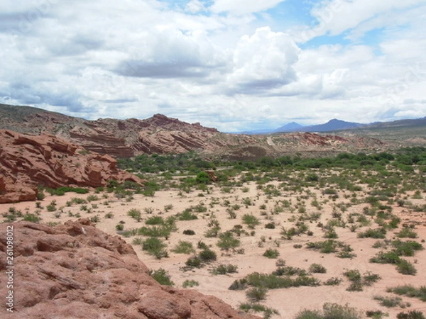Obraz panoramic view 