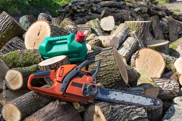 Obraz Outils de bucheron