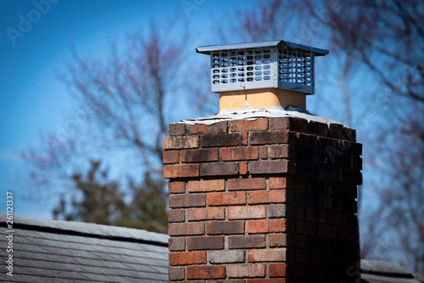 Obraz Chimney cap installed to prevent rodent entry to home/attic/building