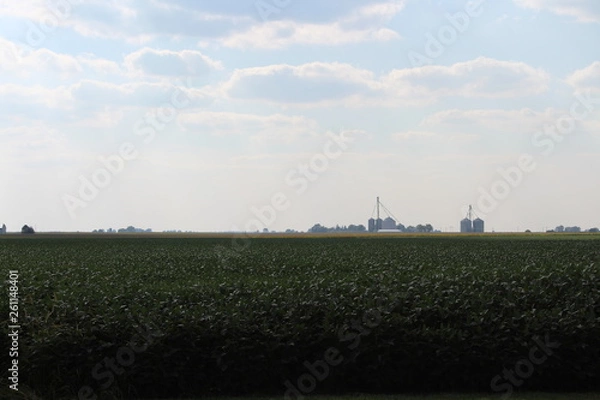 Obraz Grain Elevator with Field
