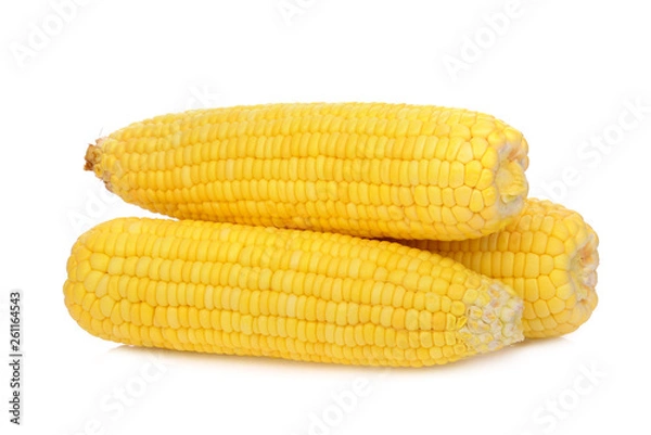 Obraz raw corn isolated on white background