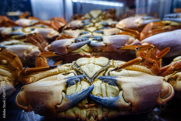 Fototapeta seafood on a display window in Lisbon