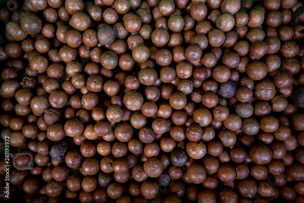 Obraz Macadamia nuts background
