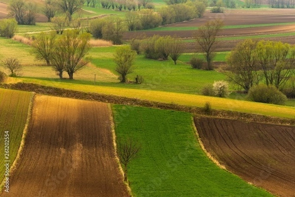 Obraz Ponidzie