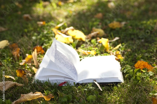 Obraz libro sul prato