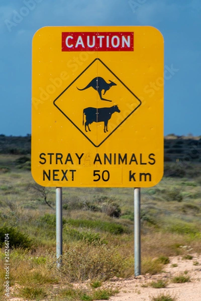 Obraz Caution stray animals next 50 km road sign in Australia