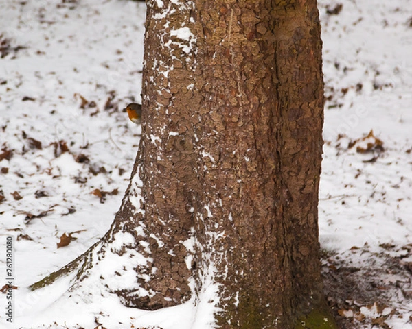 Obraz abstract background