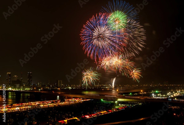 Obraz なにわ淀川花火大会 #4
