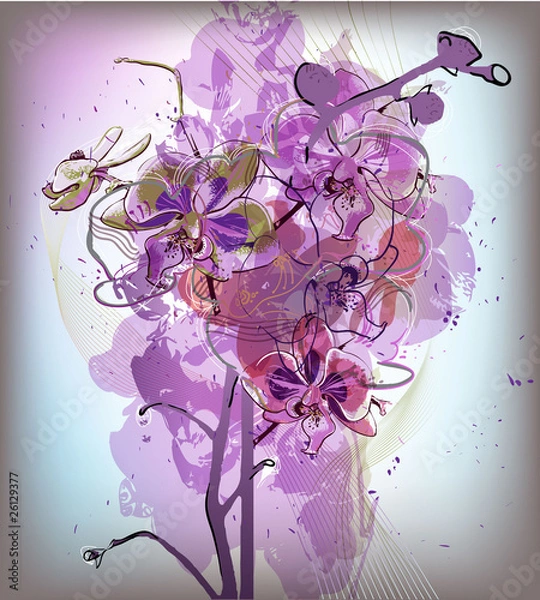 Fototapeta delicate lilac bouquet of orchids