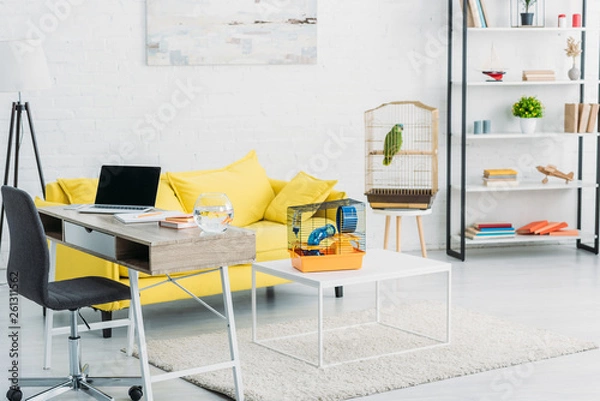 Fototapeta living room with laptop on table, yellow sofa, green parrot in bird cage and rack