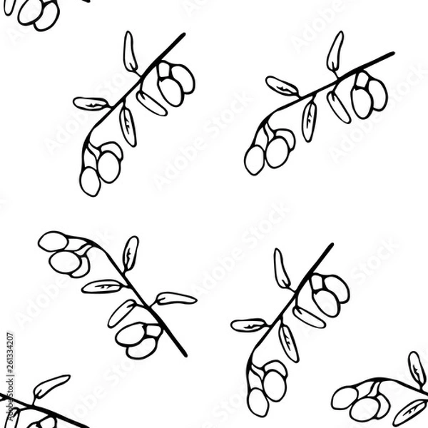 Obraz Основные RGBolive branch vector sketch