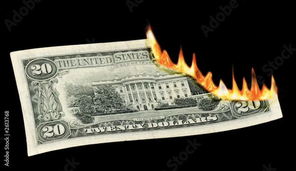 Obraz money to burn!