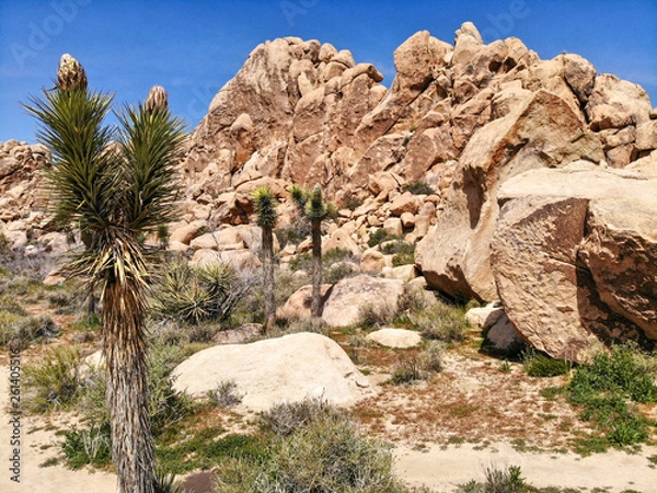 Fototapeta created by dji camera