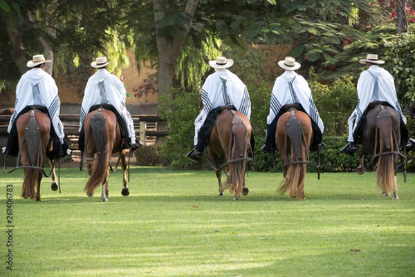Obraz Demonstration of the Peruvian Paso horse mounted by his chalan