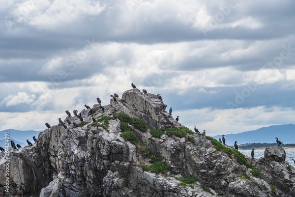 Obraz 海岸の岸壁