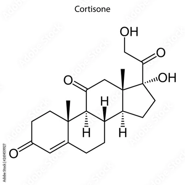 Fototapeta Skeletal formula Steroid molecule.