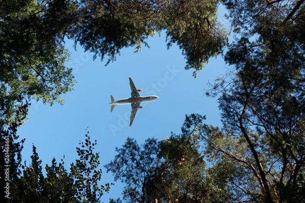Obraz airplane in the sky