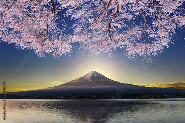 Fototapeta 富士山と桜