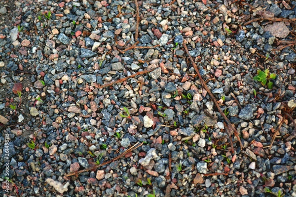 Obraz  multi-colored stones background