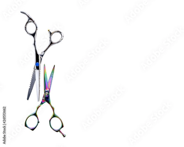 Obraz Dog grooming scissors isolated on white background