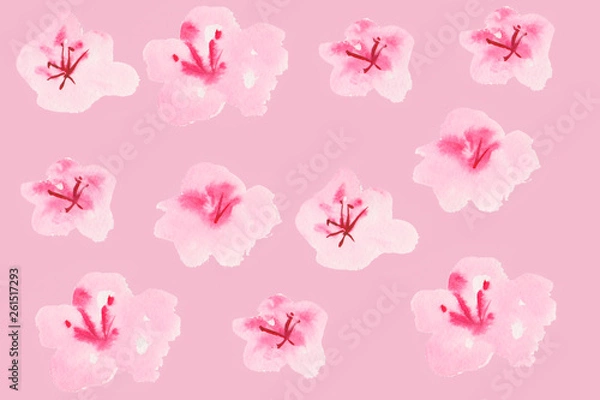 Obraz  sakura flowers on the background