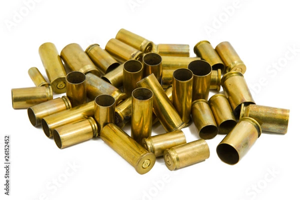 Fototapeta Gun shell