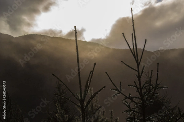 Obraz Hiking in the nature of Norway