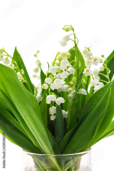 Fototapeta Muguet