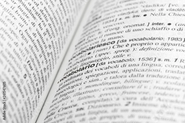 Obraz vocabolario