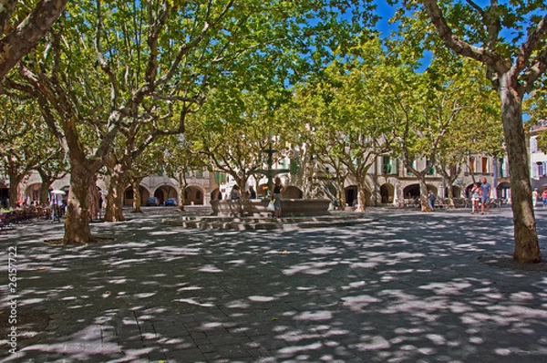 Obraz piazza alberata