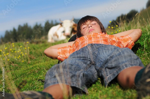 Fototapeta Nickerchen