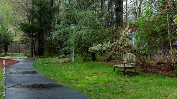 Obraz Wooden bench and birdhouse next to path