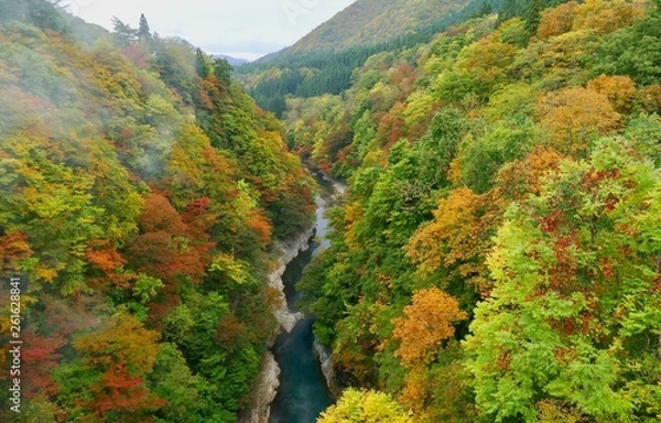 Fototapeta 《小安峡》秋田県湯沢市