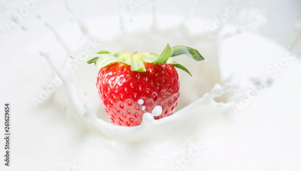 Fototapeta 1 strawberry drops into milk