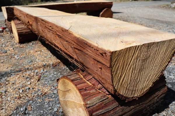 Obraz 手作りベンチ