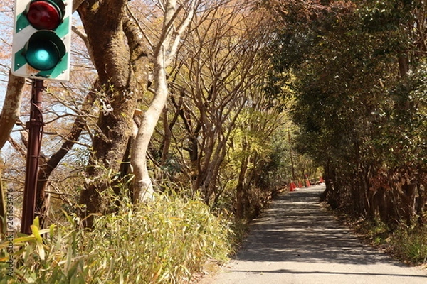 Obraz ゴーサイン