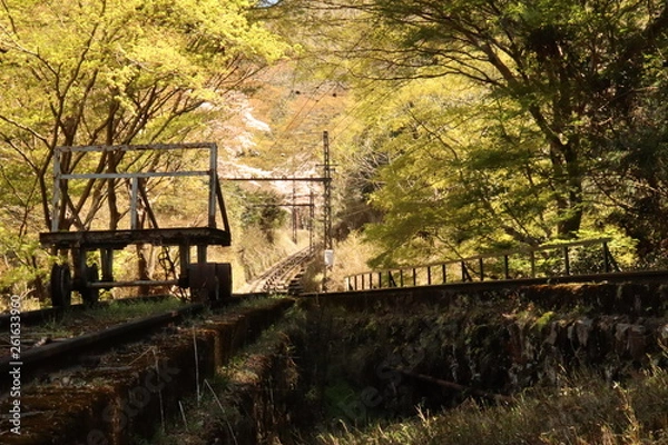 Obraz いつか来た道