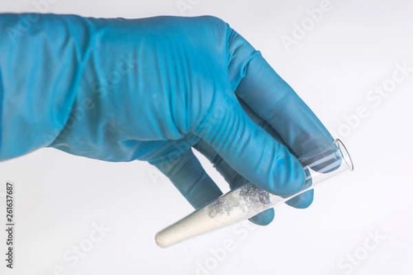 Fototapeta detection of cocaine and heroin: a medical laboratory worker holds in his hand a test tube with a sample of a powder of narcotic substance for analysis, on a white background