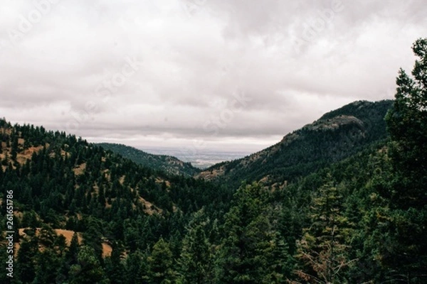 Fototapeta Processed with VSCO with c3 preset