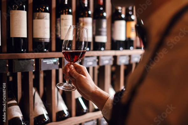Fototapeta Bartender or male cavist standing near the shelves of wine bottles holds a glass of wine, looks at tint and smells flavor of wine in glass.