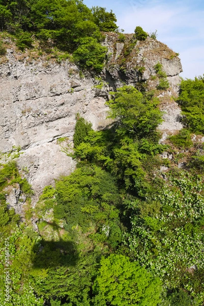 Fototapeta 小豆島 寒霞渓