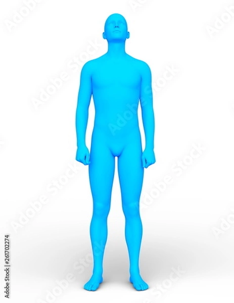 Fototapeta ワイヤーフレーム