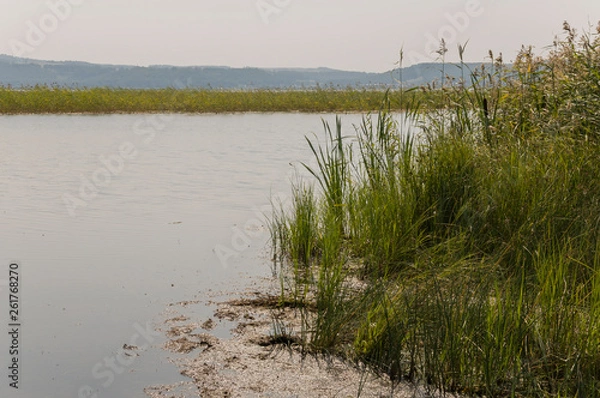Fototapeta Wide blue river slow flowing across the green meadow and mountains with no reflections. A lot of tall grass around. Summer time