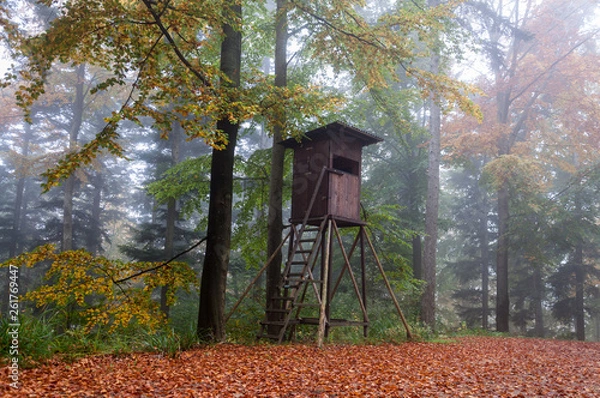 Obraz Hochsitz im Herbst