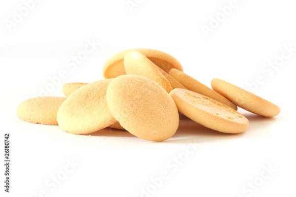 Obraz Sponge-biscuit