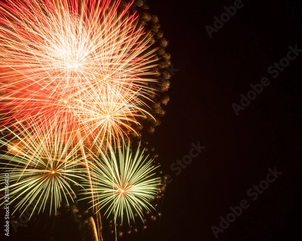 Obraz fireworks in the sky